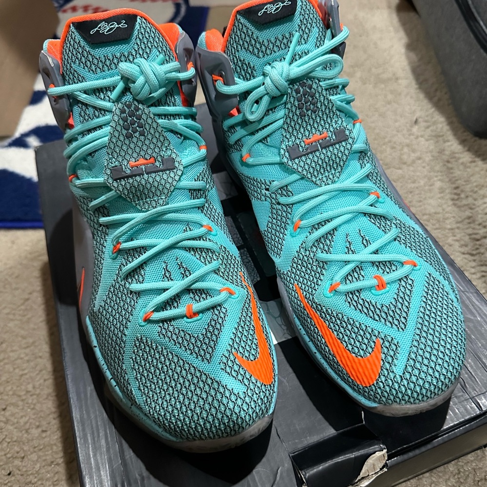 lebron XII